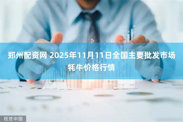 郑州配资网 2025年11月11日全国主要批发市场牦牛价格行情